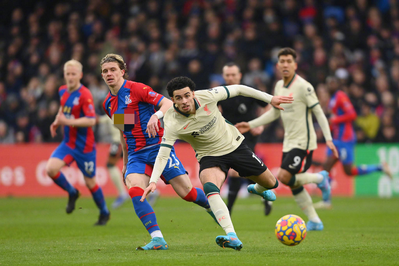 经有了显著 经有了显著