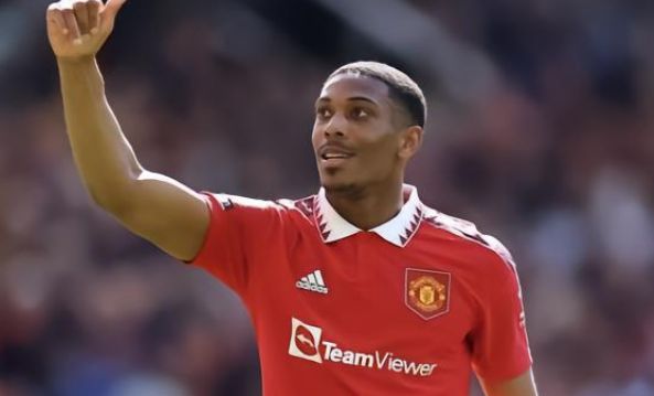 了填补防线 了填补防线